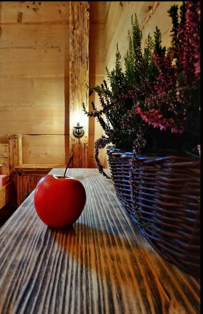 Bukowianska Ostoja - Sauna, Jacuzzi I Balia W Ofercie Буковина Татранська Екстер'єр фото